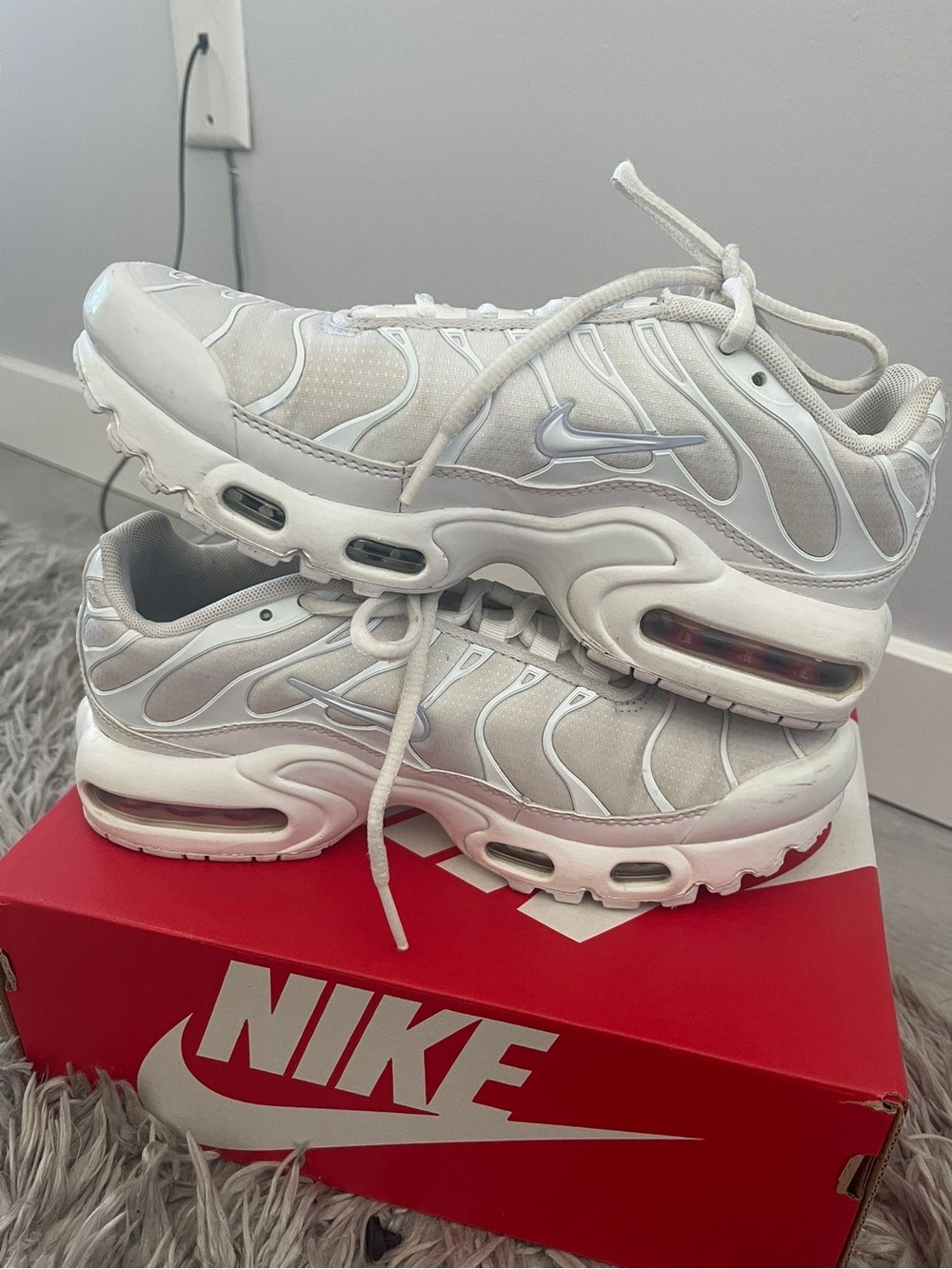 Nike White and Silver Air Max Plus TN Sneakers